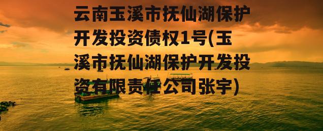 云南玉溪市抚仙湖保护开发投资债权1号(玉溪市抚仙湖保护开发投资有限责任公司张宇)