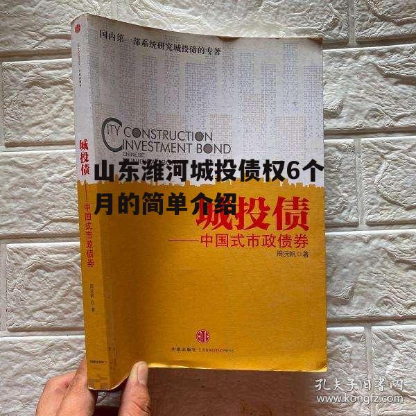 山东潍河城投债权6个月的简单介绍