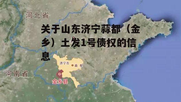 关于山东济宁蒜都（金乡）土发1号债权的信息