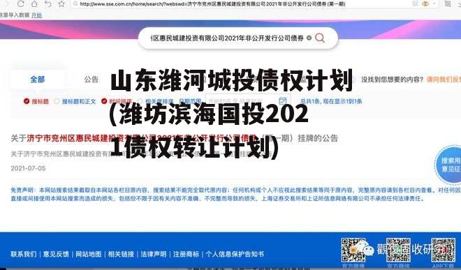 山东潍河城投债权计划(潍坊滨海国投2021债权转让计划)