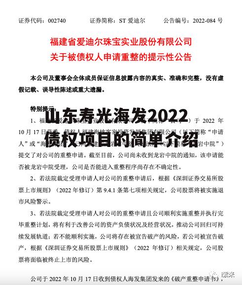 山东寿光海发2022债权项目的简单介绍