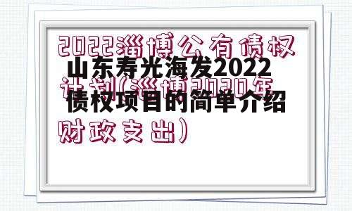 山东寿光海发2022债权项目的简单介绍