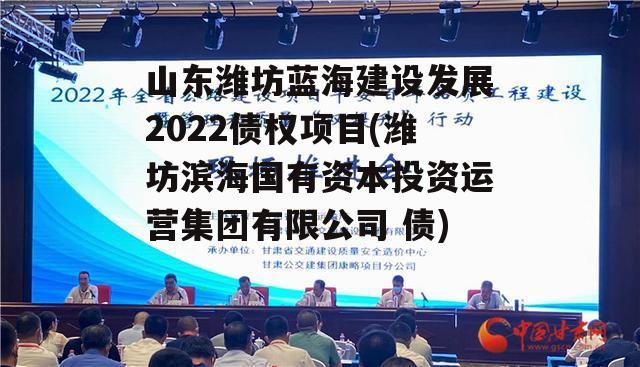 山东潍坊蓝海建设发展2022债权项目(潍坊滨海国有资本投资运营集团有限公司 债)