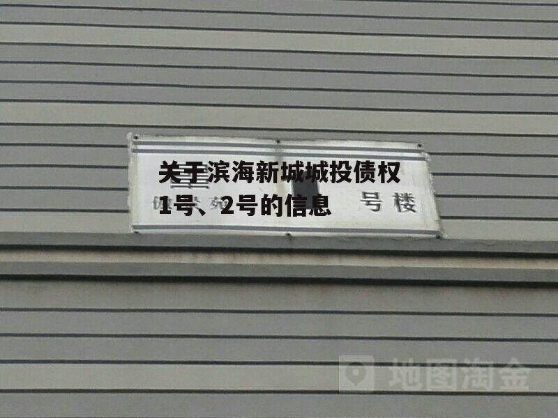 关于滨海新城城投债权1号、2号的信息