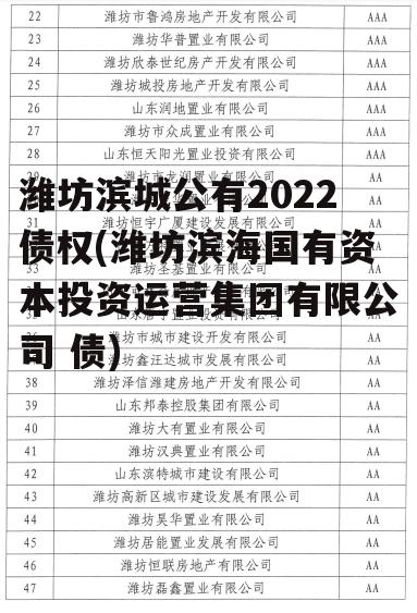 潍坊滨城公有2022债权(潍坊滨海国有资本投资运营集团有限公司 债)