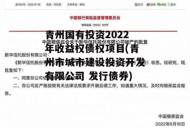 青州国有投资2022年收益权债权项目(青州市城市建设投资开发有限公司 发行债券)