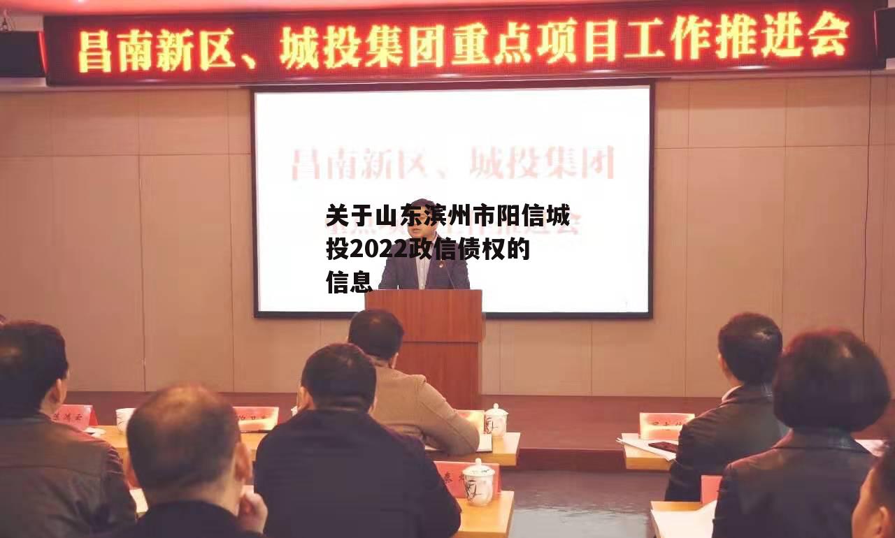 关于山东滨州市阳信城投2022政信债权的信息