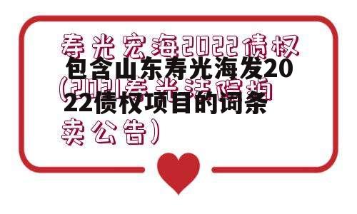 包含山东寿光海发2022债权项目的词条