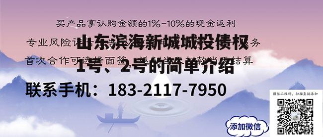 山东滨海新城城投债权1号、2号的简单介绍