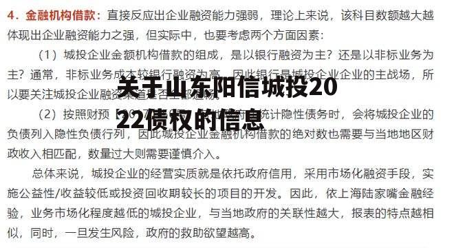 关于山东阳信城投2022债权的信息