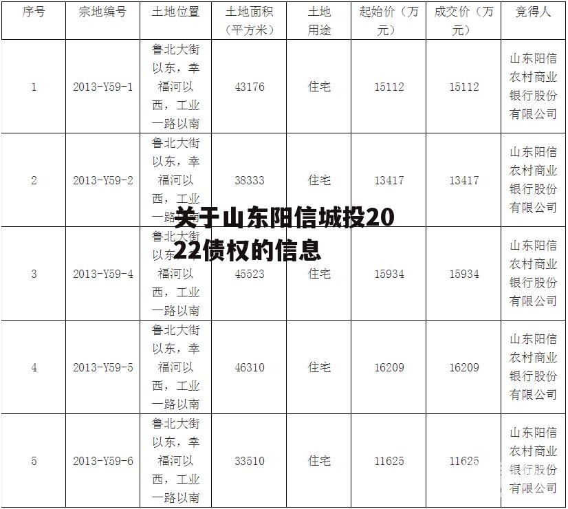 关于山东阳信城投2022债权的信息