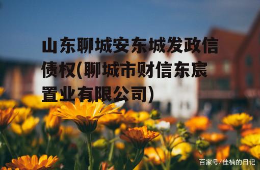 山东聊城安东城发政信债权(聊城市财信东宸置业有限公司)