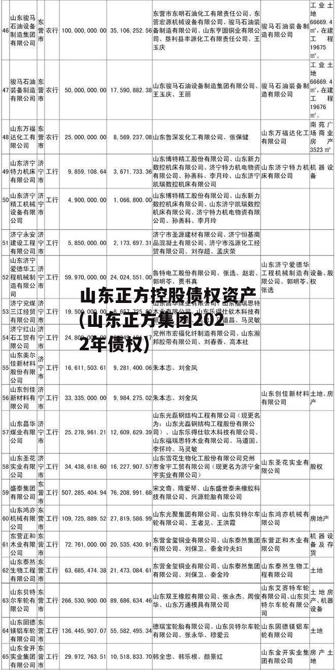 山东正方控股债权资产(山东正方集团2022年债权)