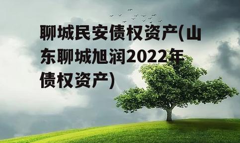 聊城民安债权资产(山东聊城旭润2022年债权资产)