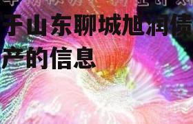 关于山东聊城旭润债权资产的信息