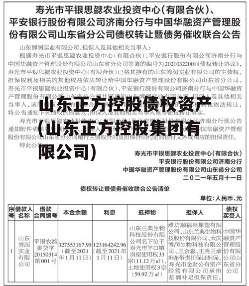 山东正方控股债权资产(山东正方控股集团有限公司)