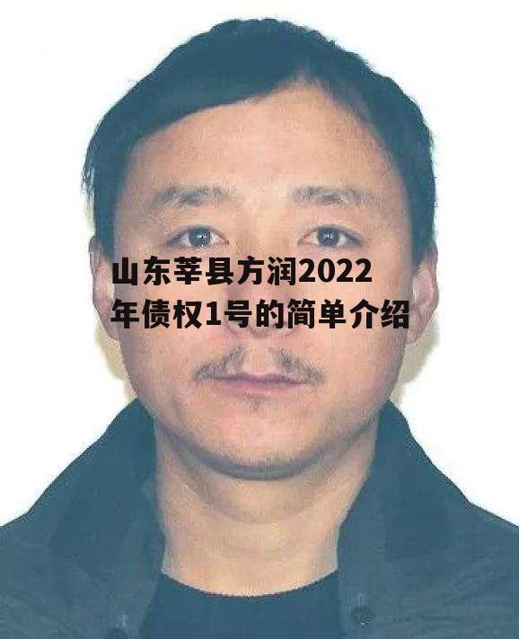 山东莘县方润2022年债权1号的简单介绍