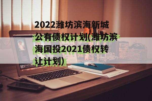 2022潍坊滨海新城公有债权计划(潍坊滨海国投2021债权转让计划)