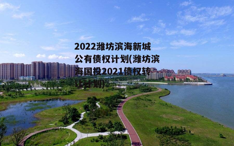 2022潍坊滨海新城公有债权计划(潍坊滨海国投2021债权转让计划)