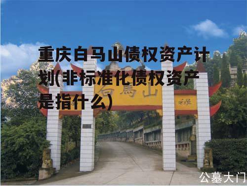 重庆白马山债权资产计划(非标准化债权资产是指什么)