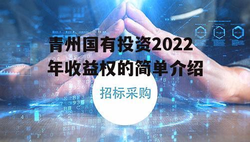 青州国有投资2022年收益权的简单介绍