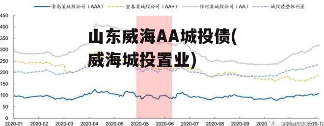 山东威海AA城投债(威海城投置业)