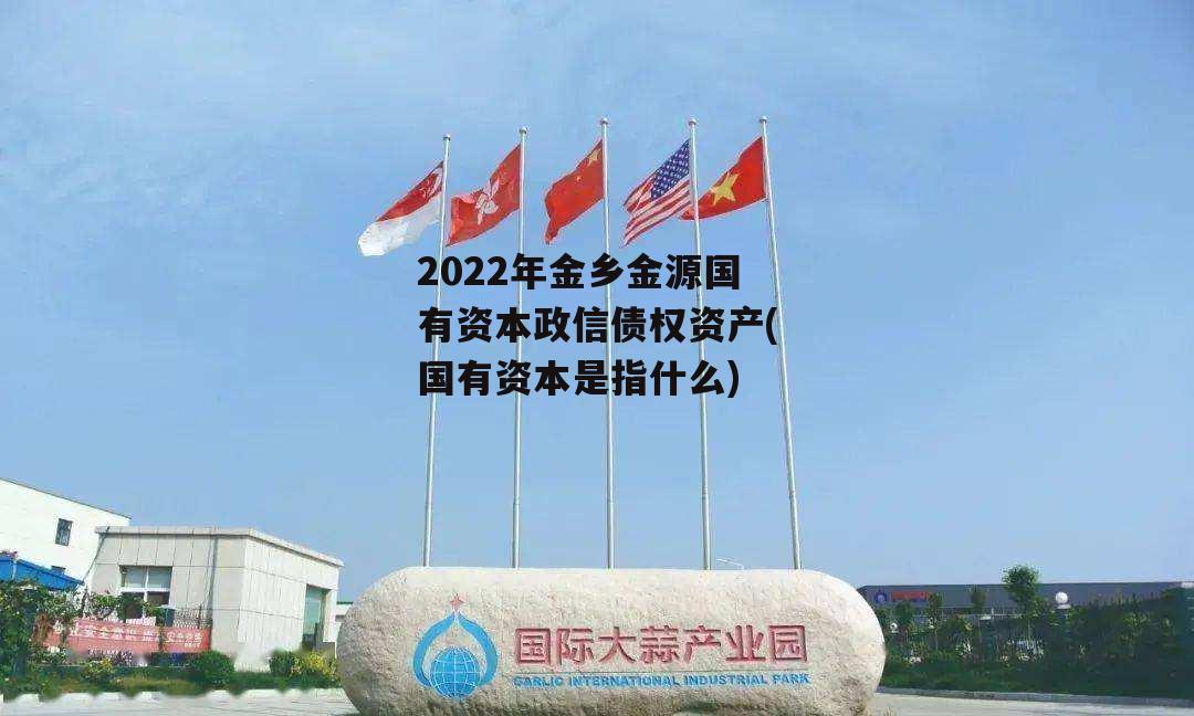 2022年金乡金源国有资本政信债权资产(国有资本是指什么)