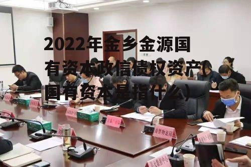 2022年金乡金源国有资本政信债权资产(国有资本是指什么)