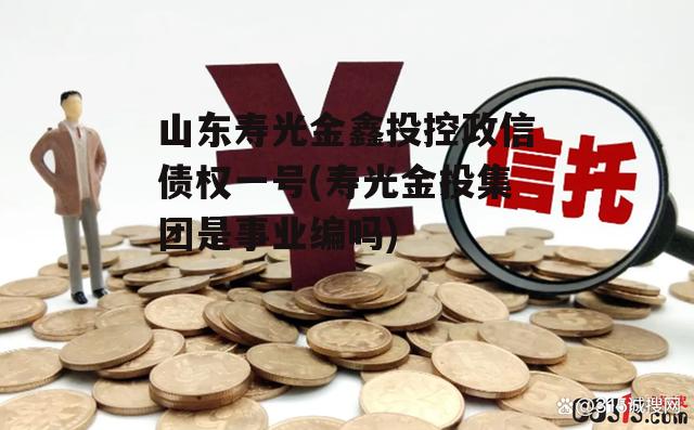 山东寿光金鑫投控政信债权一号(寿光金投集团是事业编吗)