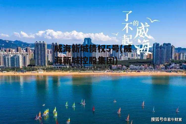 威海新城债权5号(威海新城控股集团)