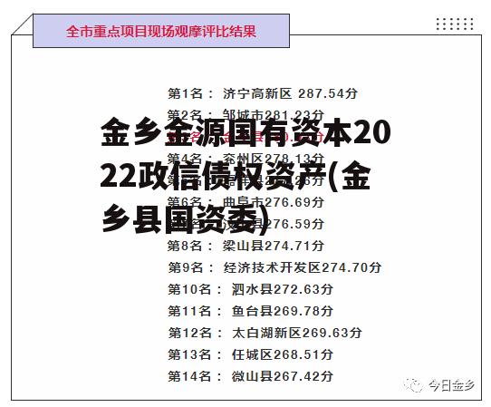 金乡金源国有资本2022政信债权资产(金乡县国资委)