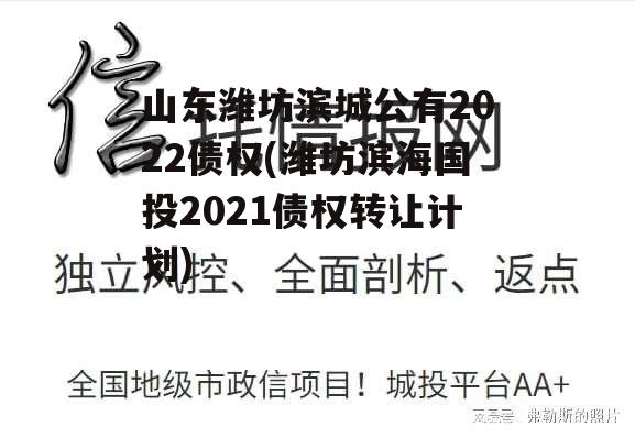 山东潍坊滨城公有2022债权(潍坊滨海国投2021债权转让计划)