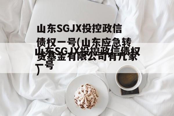 山东SGJX投控政信债权一号(山东应急转贷基金有限公司有几家)