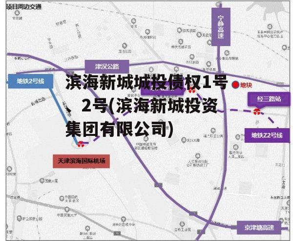 滨海新城城投债权1号、2号(滨海新城投资集团有限公司)