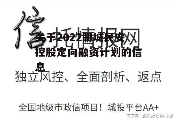 关于2022聊城民安控股定向融资计划的信息