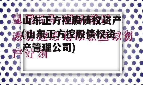 山东正方控股债权资产(山东正方控股债权资产管理公司)