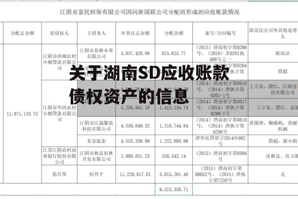 关于湖南SD应收账款债权资产的信息