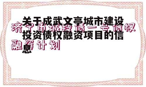 关于成武文亭城市建设投资债权融资项目的信息