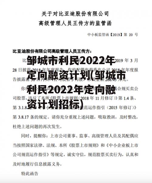 邹城市利民2022年定向融资计划(邹城市利民2022年定向融资计划招标)