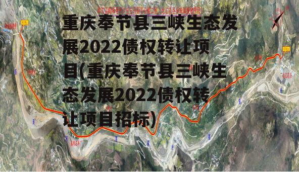 重庆奉节县三峡生态发展2022债权转让项目(重庆奉节县三峡生态发展2022债权转让项目招标)