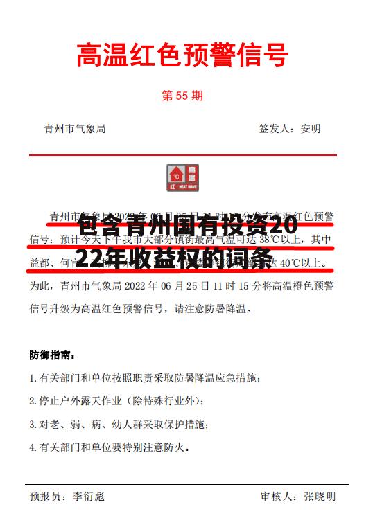 包含青州国有投资2022年收益权的词条