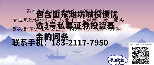 包含山东潍坊城投债优选3号私募证券投资基金的词条