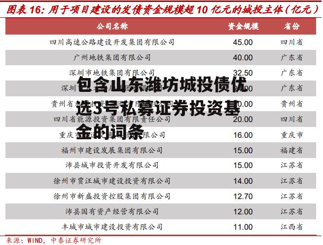 包含山东潍坊城投债优选3号私募证券投资基金的词条