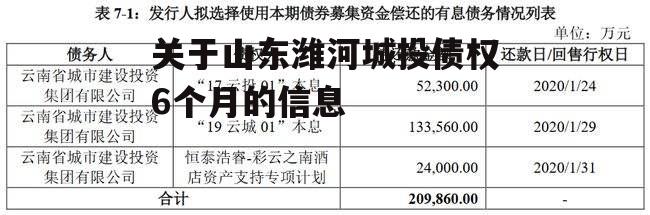 关于山东潍河城投债权6个月的信息