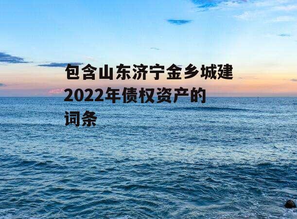 包含山东济宁金乡城建2022年债权资产的词条