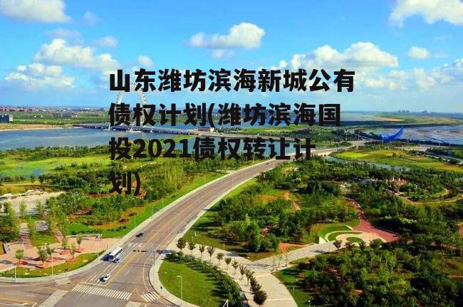 山东潍坊滨海新城公有债权计划(潍坊滨海国投2021债权转让计划)