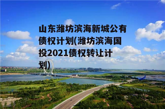 山东潍坊滨海新城公有债权计划(潍坊滨海国投2021债权转让计划)