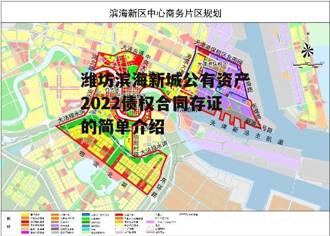 潍坊滨海新城公有资产2022债权合同存证的简单介绍