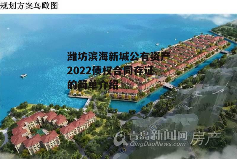 潍坊滨海新城公有资产2022债权合同存证的简单介绍