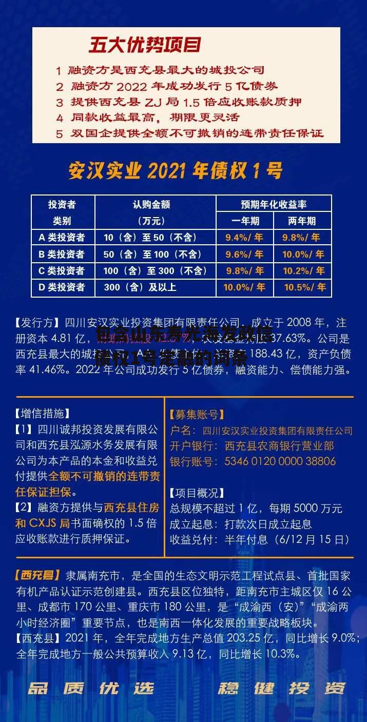 包含山东寿光海发政信债权1号定融的词条